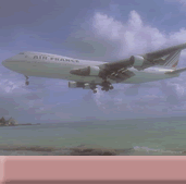Travel Agents and Honeymoons  Corner Banner